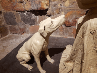 Stone dog statute in the castle