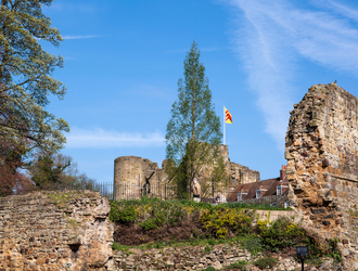 A shot of the castle in the distance